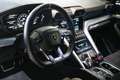 Lamborghini Urus Urus 4.0 V8 auto Grau - thumbnail 16
