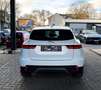 Jaguar E-Pace S/Leder/Kamera/Sitzheizung/2,0 Ltr./110KW Weiß - thumbnail 5