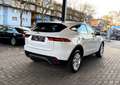 Jaguar E-Pace S/Leder/Kamera/Sitzheizung/2,0 Ltr./110KW Weiß - thumbnail 6