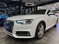 Audi A4 Avant 35 TFSI sport *AHK*Klima*SHZ*Navi*Xenon Bílá - thumbnail 2