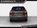 Nissan Qashqai 1,6 dCi Tekna Braun - thumbnail 6