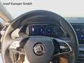 Skoda Octavia Style TDI DSG Grau - thumbnail 10