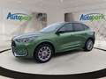 Ford Kuga ST-Line X FHEV AWD Grün - thumbnail 1