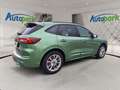 Ford Kuga ST-Line X FHEV AWD Grün - thumbnail 8