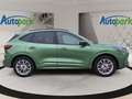 Ford Kuga ST-Line X FHEV AWD Grün - thumbnail 5