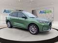 Ford Kuga ST-Line X FHEV AWD Grün - thumbnail 3