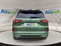 Ford Kuga ST-Line X FHEV AWD Grün - thumbnail 7