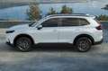Honda CR-V e:HEV Advance AWD|Jetzt Probefahren White - thumbnail 3