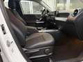 Mercedes-Benz GLB 200 d *Automatik*7-Sitzer*LED*R.Kam* Weiß - thumbnail 13
