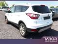 Ford Kuga 2.0 TDCi 150 Titanium Pano Nav SHZ PDC 17Z Weiß - thumbnail 4