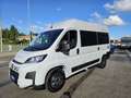 Fiat Ducato Bunkervan Boston L2H2 2.2 Mjt 140CV PC-TM auto Grigio - thumbnail 3