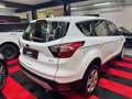 Ford Kuga 1,5 EcoBoost Trend Start/Stop Weiß - thumbnail 5