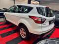 Ford Kuga 1,5 EcoBoost Trend Start/Stop Weiß - thumbnail 4