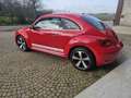 Volkswagen Beetle 1.2 TSI Design Rouge - thumbnail 3
