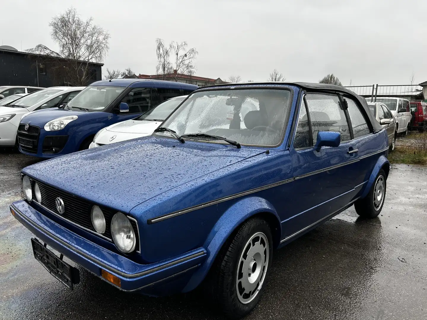 Volkswagen Golf Cabriolet Cabrio (GL) Typ 155 Sammlerzustand Blue - 1