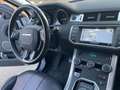 Land Rover Range Rover Evoque Range Rover Evoque 2.0 TD4 150 CV 5p*Automatik*Aut Bianco - thumbnail 15