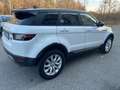 Land Rover Range Rover Evoque Range Rover Evoque 2.0 TD4 150 CV 5p*Automatik*Aut Bianco - thumbnail 8