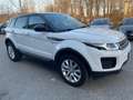 Land Rover Range Rover Evoque Range Rover Evoque 2.0 TD4 150 CV 5p*Automatik*Aut Bianco - thumbnail 6