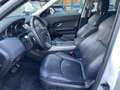 Land Rover Range Rover Evoque Range Rover Evoque 2.0 TD4 150 CV 5p*Automatik*Aut Bianco - thumbnail 13
