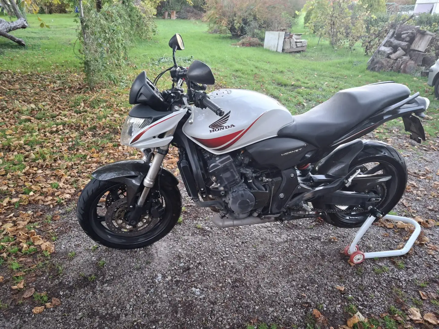 Honda Hornet Hornet 600 Bianco - 1