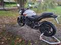 Honda Hornet Hornet 600 Bianco - thumbnail 2