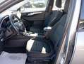 Ford Kuga Kuga III 2020 1.5 ecoblue Titanium Business auto Grau - thumbnail 12