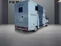 Mercedes-Benz Sprinter 319 CDI Pferdetransporter TEMP|LED Gris - thumbnail 4