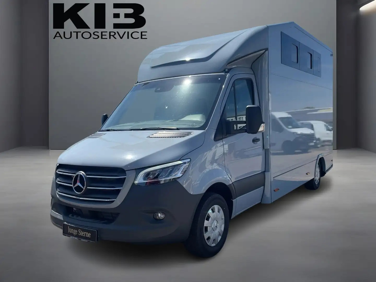 Mercedes-Benz Sprinter 319 CDI Pferdetransporter +TEMP+LED+ Grigio - 1