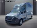 Mercedes-Benz Sprinter 319 CDI Pferdetransporter TEMP|LED Grau - thumbnail 1