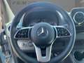 Mercedes-Benz Sprinter 319 CDI Pferdetransporter TEMP|LED Gris - thumbnail 9