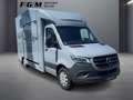 Mercedes-Benz Sprinter 319 CDI Pferdetransporter TEMP|LED Grijs - thumbnail 5