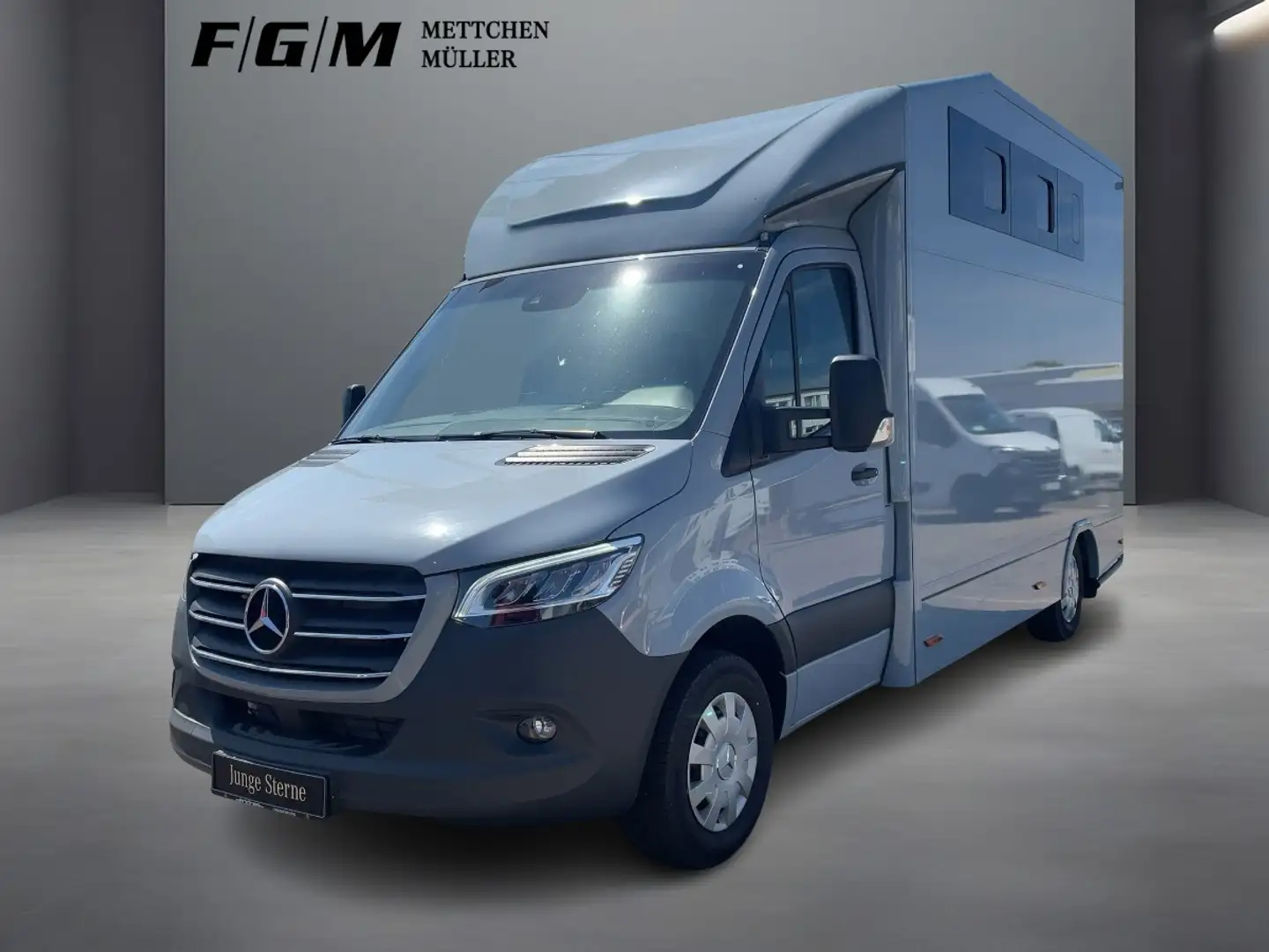 Mercedes-Benz Sprinter 319 CDI Pferdetransporter TEMP|LED Gris - 1