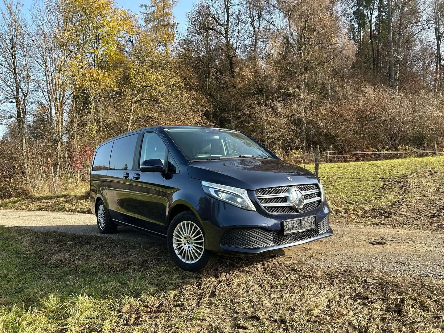 Mercedes-Benz V 250 V 250 d 4Matic BusinessVan lang Aut. Blau - 1