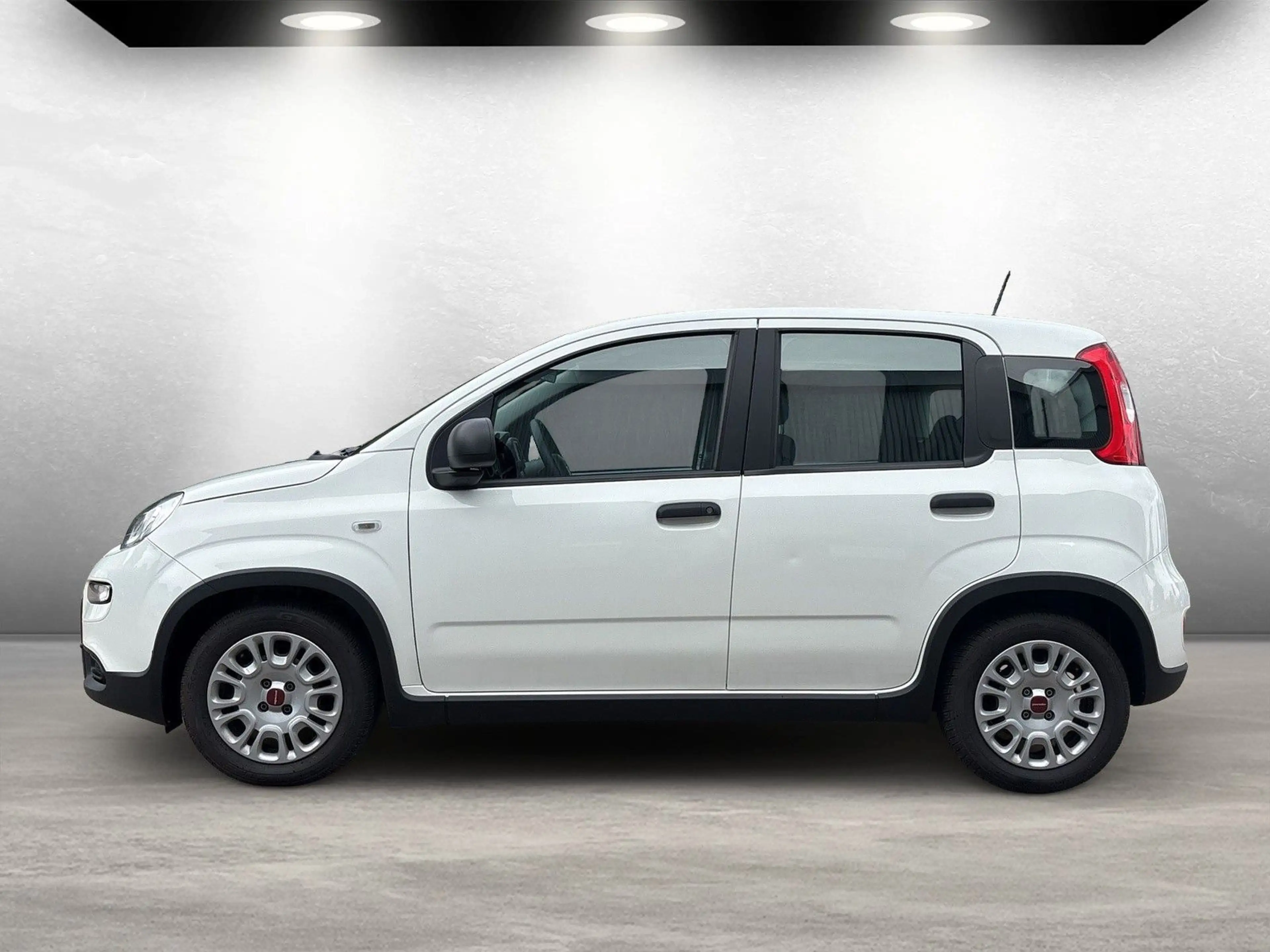 Fiat Panda Base  auch in Blau u. Schwarz — photo 7