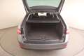 Skoda Superb 4x4 Ambition TDI DSG Grau - thumbnail 9
