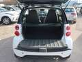 smart forTwo Fortwo 1.0 mhd Passion 71cv FL Blanc - thumbnail 12
