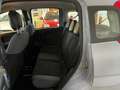 Fiat Panda Panda 1.2 Easy  5 POSTI Grigio - thumbnail 14
