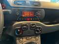 Fiat Panda Panda 1.2 Easy  5 POSTI Grigio - thumbnail 12