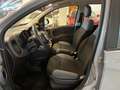 Fiat Panda Panda 1.2 Easy  5 POSTI Grigio - thumbnail 13