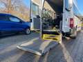 Ford Transit FT300 Kombi L3H2*AMF Linearlift*7.Sitze* Blanc - thumbnail 20
