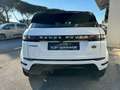 Land Rover Range Rover Evoque 2.0d i4 mhev S awd 150cv auto Blanco - thumbnail 5