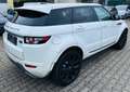 Land Rover Range Rover Evoque Pure 2,2 eD4 - thumbnail 5