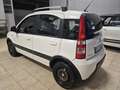 Fiat Panda Panda II 1.2 natural power Weiß - thumbnail 8