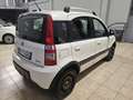 Fiat Panda Panda II 1.2 natural power Weiß - thumbnail 10