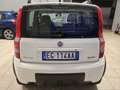 Fiat Panda Panda II 1.2 natural power Weiß - thumbnail 9