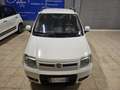 Fiat Panda Panda II 1.2 natural power Weiß - thumbnail 3