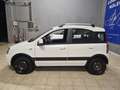 Fiat Panda Panda II 1.2 natural power Weiß - thumbnail 7