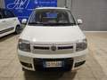 Fiat Panda Panda II 1.2 natural power Weiß - thumbnail 4