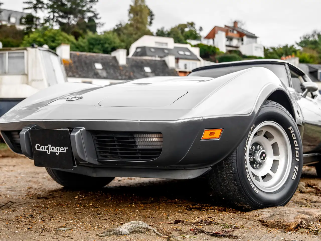 Chevrolet Corvette C3 Anniversary, foto 10