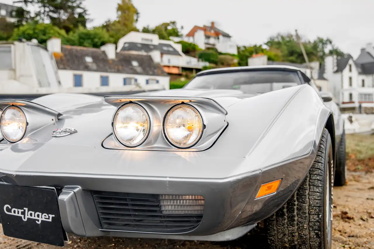 Chevrolet Corvette C3 Anniversary, foto 11